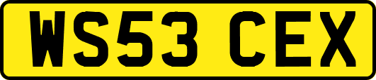 WS53CEX