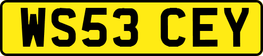 WS53CEY
