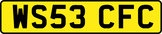 WS53CFC