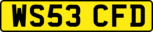 WS53CFD