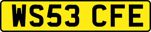 WS53CFE