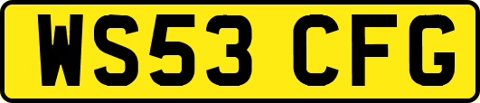 WS53CFG