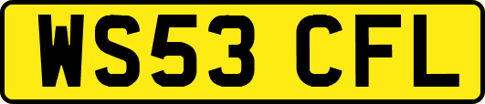 WS53CFL