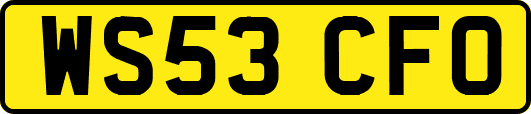 WS53CFO