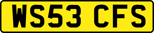 WS53CFS