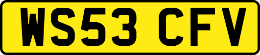 WS53CFV