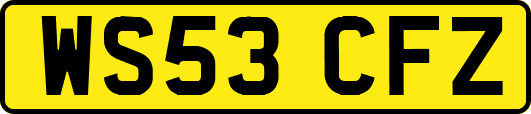 WS53CFZ