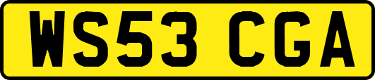 WS53CGA