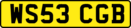 WS53CGB