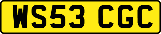 WS53CGC