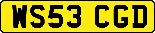 WS53CGD