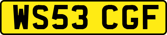 WS53CGF