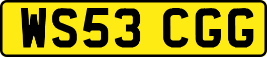 WS53CGG