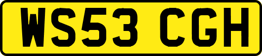 WS53CGH
