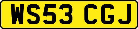 WS53CGJ