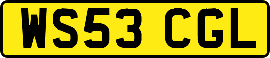 WS53CGL