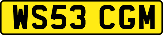 WS53CGM