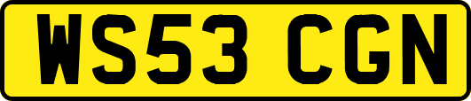 WS53CGN