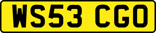WS53CGO