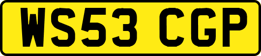 WS53CGP