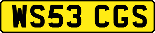 WS53CGS