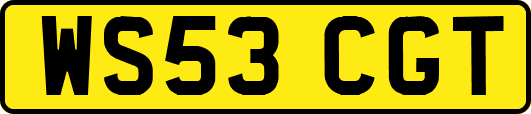 WS53CGT