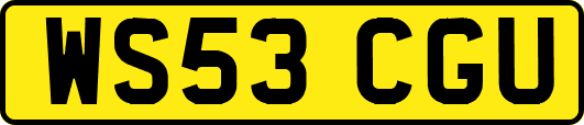 WS53CGU