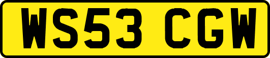 WS53CGW