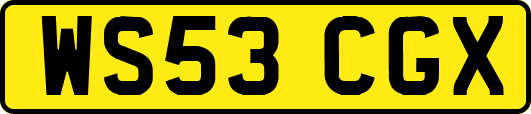 WS53CGX
