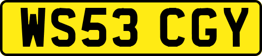 WS53CGY