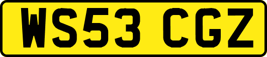 WS53CGZ
