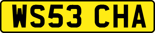WS53CHA