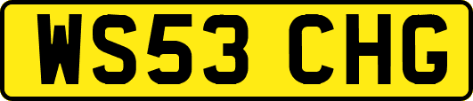 WS53CHG