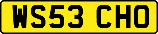 WS53CHO