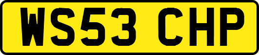 WS53CHP