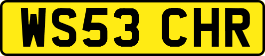 WS53CHR