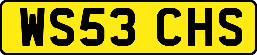 WS53CHS