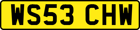 WS53CHW