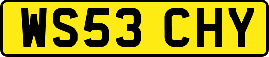 WS53CHY