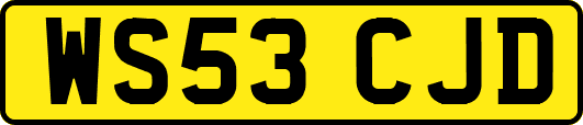 WS53CJD
