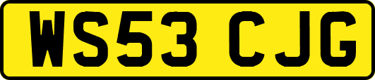 WS53CJG