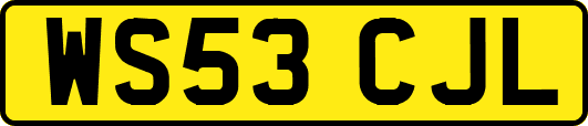 WS53CJL