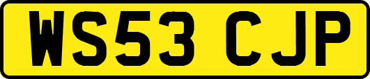 WS53CJP