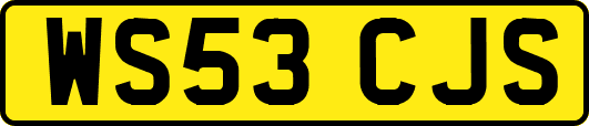 WS53CJS