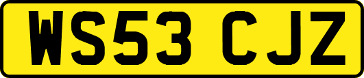 WS53CJZ