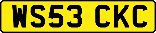 WS53CKC