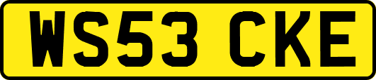 WS53CKE