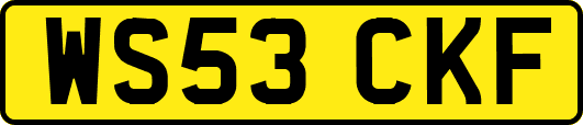 WS53CKF