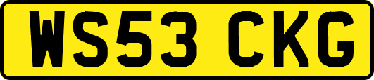 WS53CKG