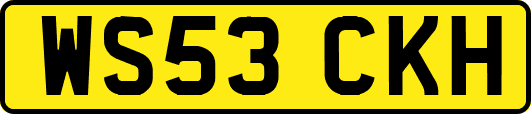 WS53CKH